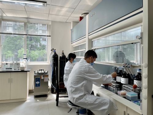 學史力行促發展 為民服務顯成效 黨史學習教育引領教育咨詢服務新篇章