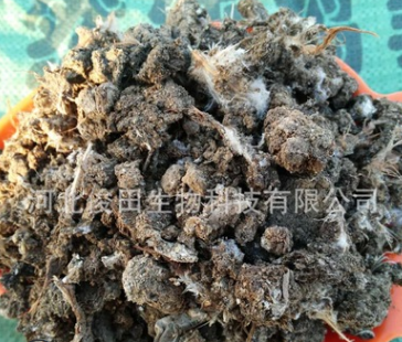 生物肥與飼料 鋤禾日當(dāng)午，畜牧漁業(yè)的綠色未來